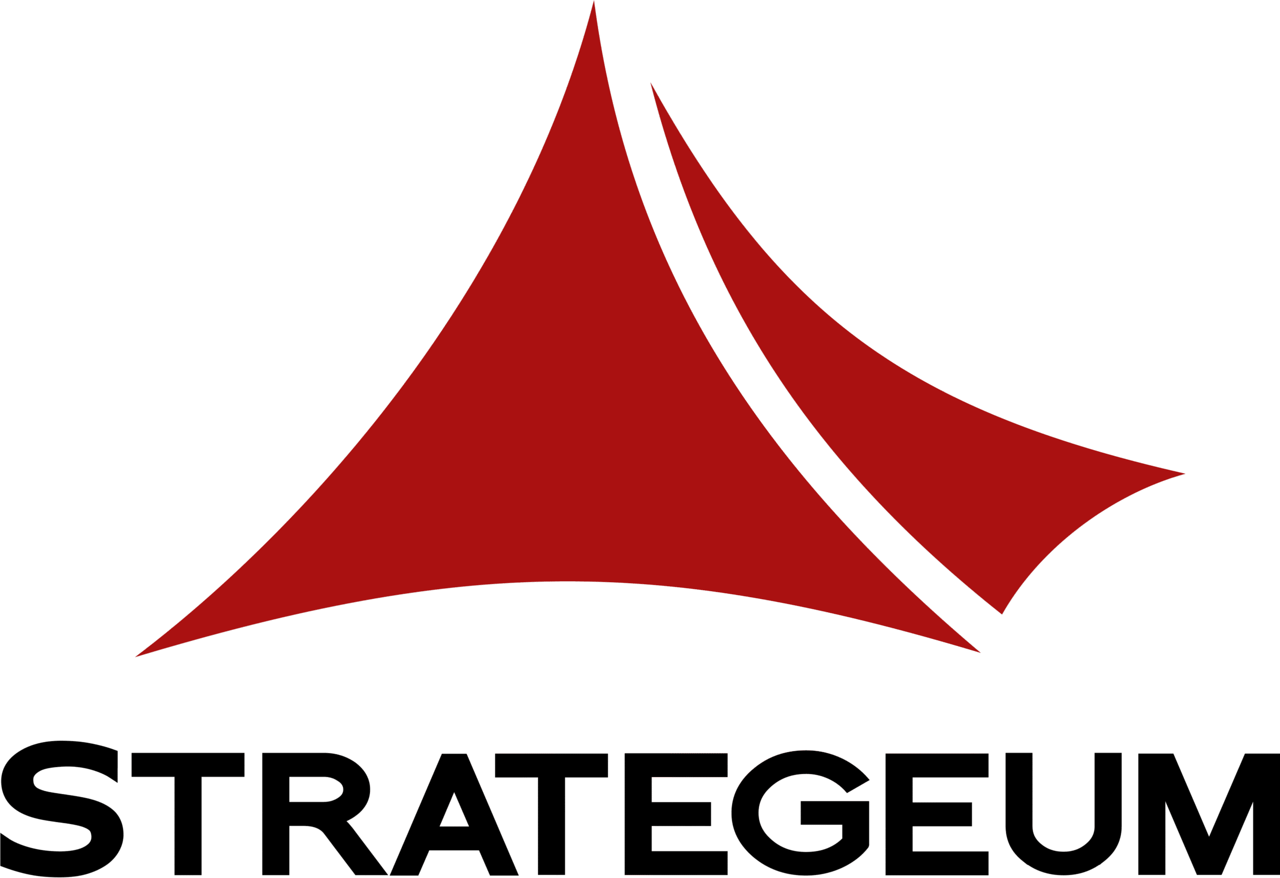 Logo Strategeum